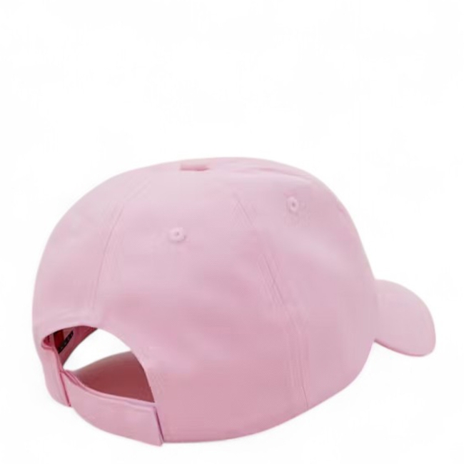 TJW LINEAR LOGO 6 PANEL CAP